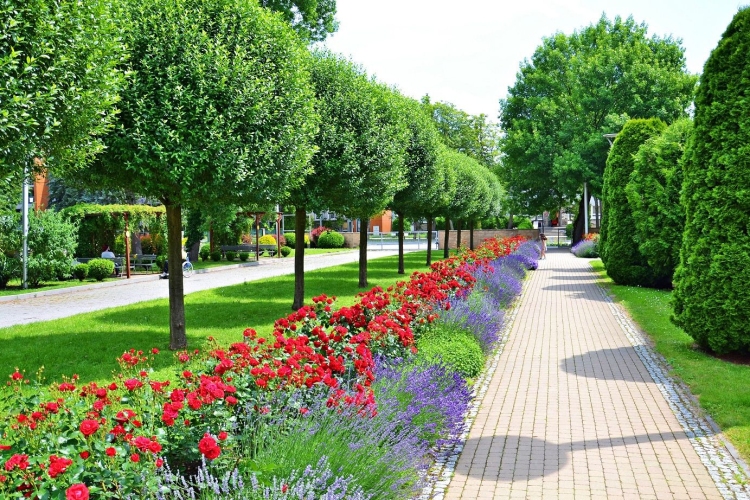 21. Wojskowy Szpital Uzdrowiskowo-Rehabilitacyjny w Busku-Zdroju