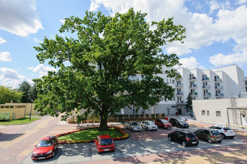 22. Wojskowy Szpital Uzdrowiskowo-Rehabilitacyjny w Ciechocinku