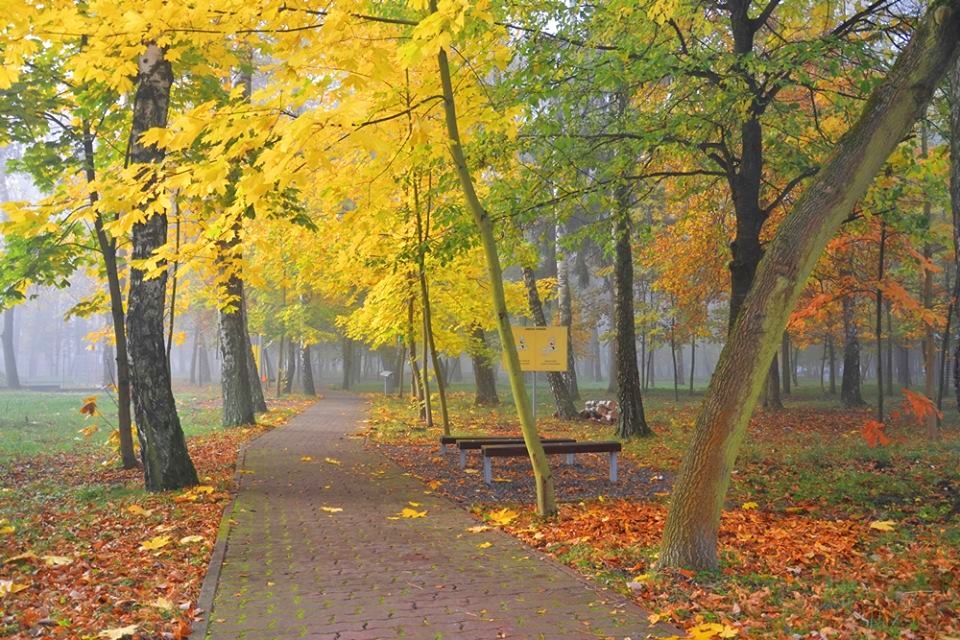 21. Wojskowy Szpital Uzdrowiskowo-Rehabilitacyjny w Busku-Zdroju