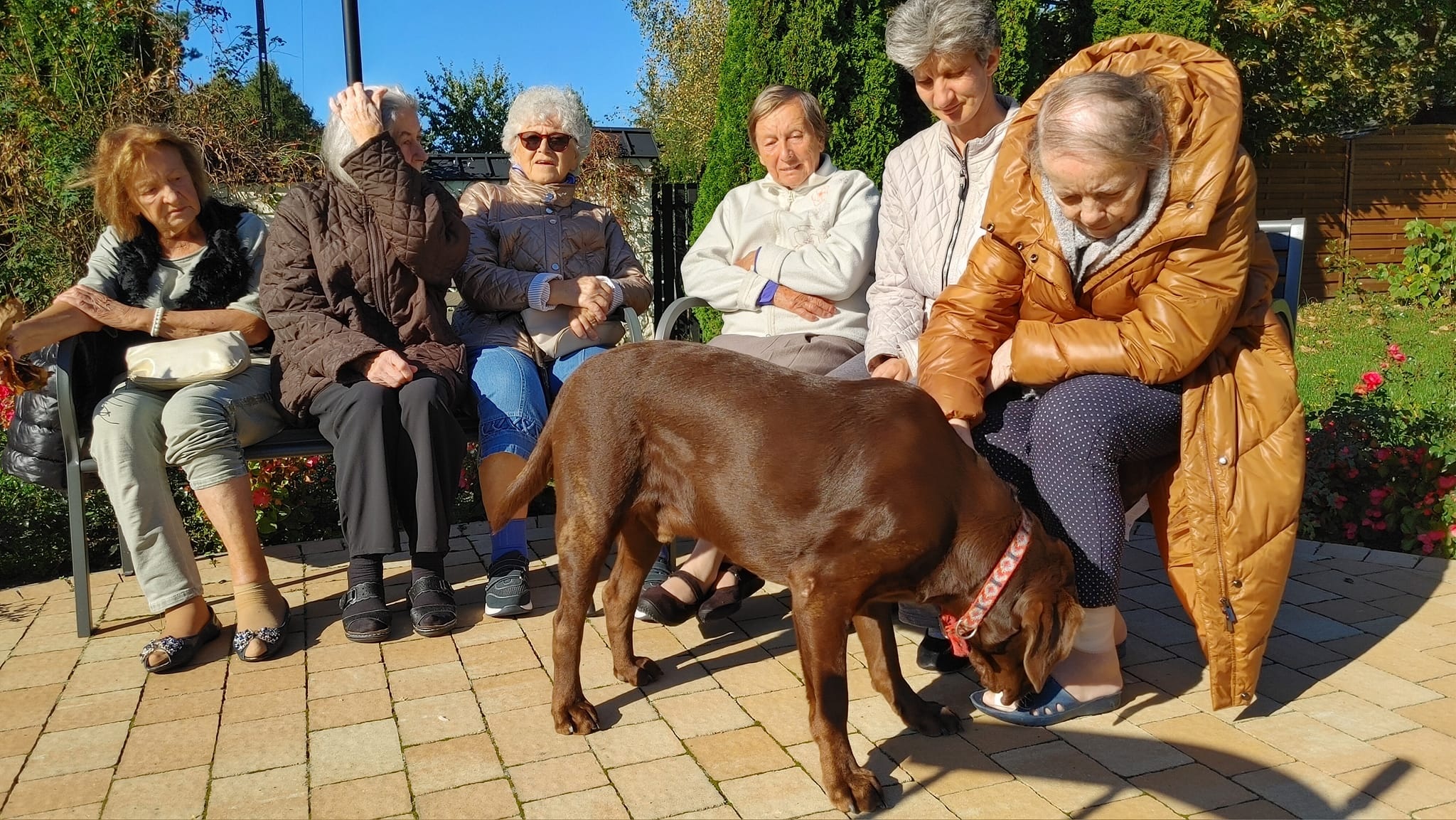 Dom Opieki i Rehabilitacji „Pałac Nałęczów” w Nałęczowie