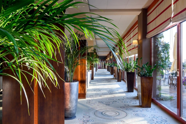 Hotel Medical SPA „Malinowy Zdrój” w Solcu-Zdroju