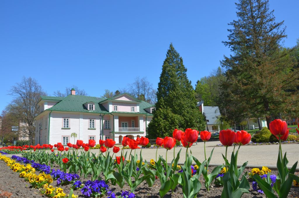 Centrum Lecznictwa Uzdrowiskowego w Iwoniczu-Zdroju