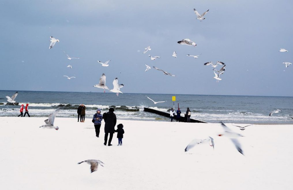 Centrum Rehabilitacji Rolników Niwa w Kołobrzegu