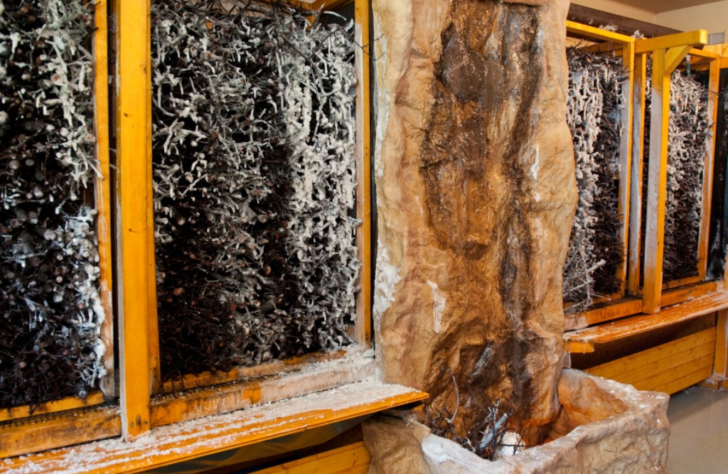 Sanatorium Uzdrowiskowe Amer-Pol w Polańczyku