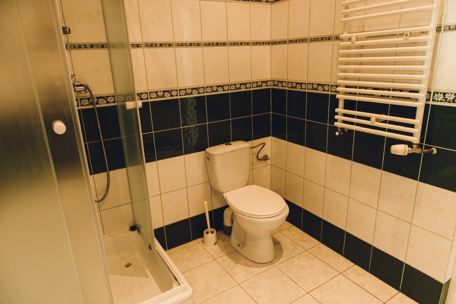 Sanatorium Uzdrowiskowe „Julianówka" w Ciechocinku