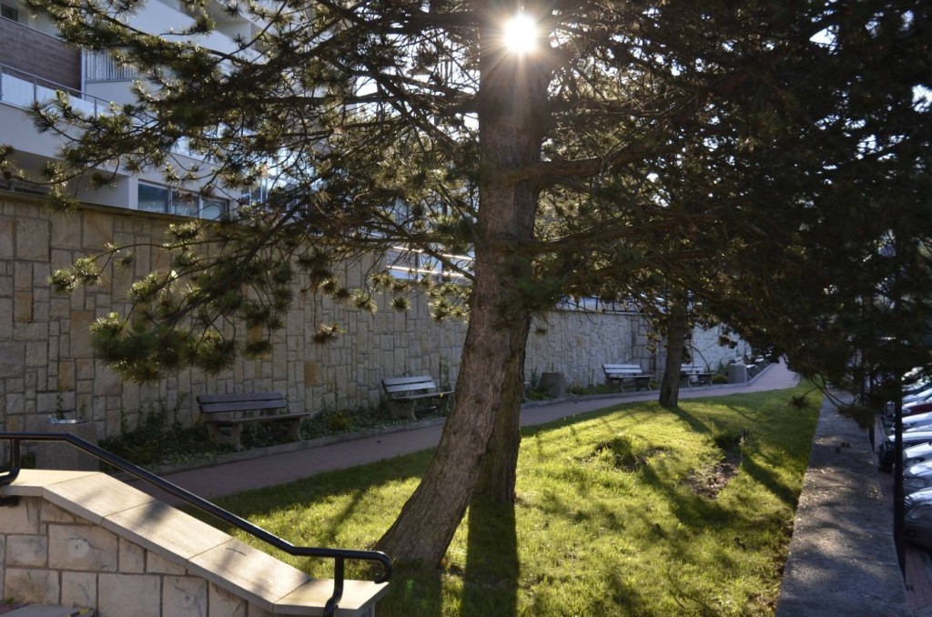 Sanatorium Uzdrowiskowe „Bristol” MSWiA w Kudowie-Zdroju