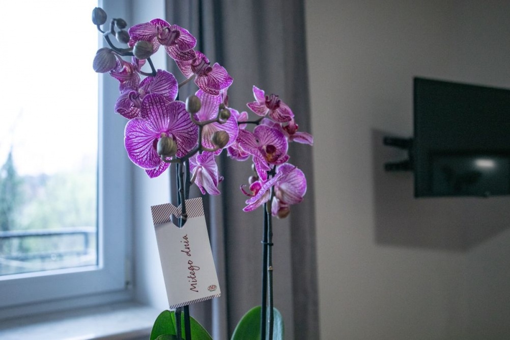 Sanatorium Uzdrowiskowe Nida-Zdrój w Busku-Zdroju