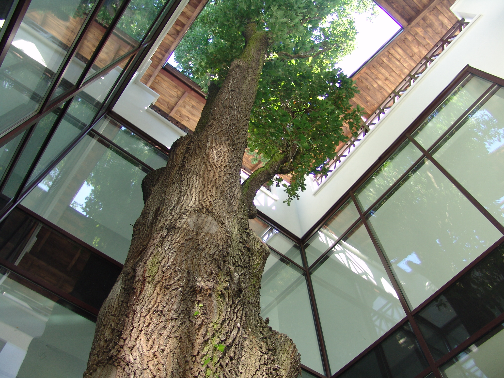 Hotel Uzdrowiskowy ,,St. George" w Ciechocinku