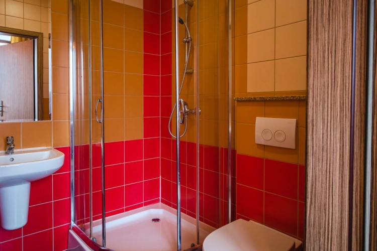 „Wiktor Cechini” Medical & SPA w Żegiestowie-Zdroju