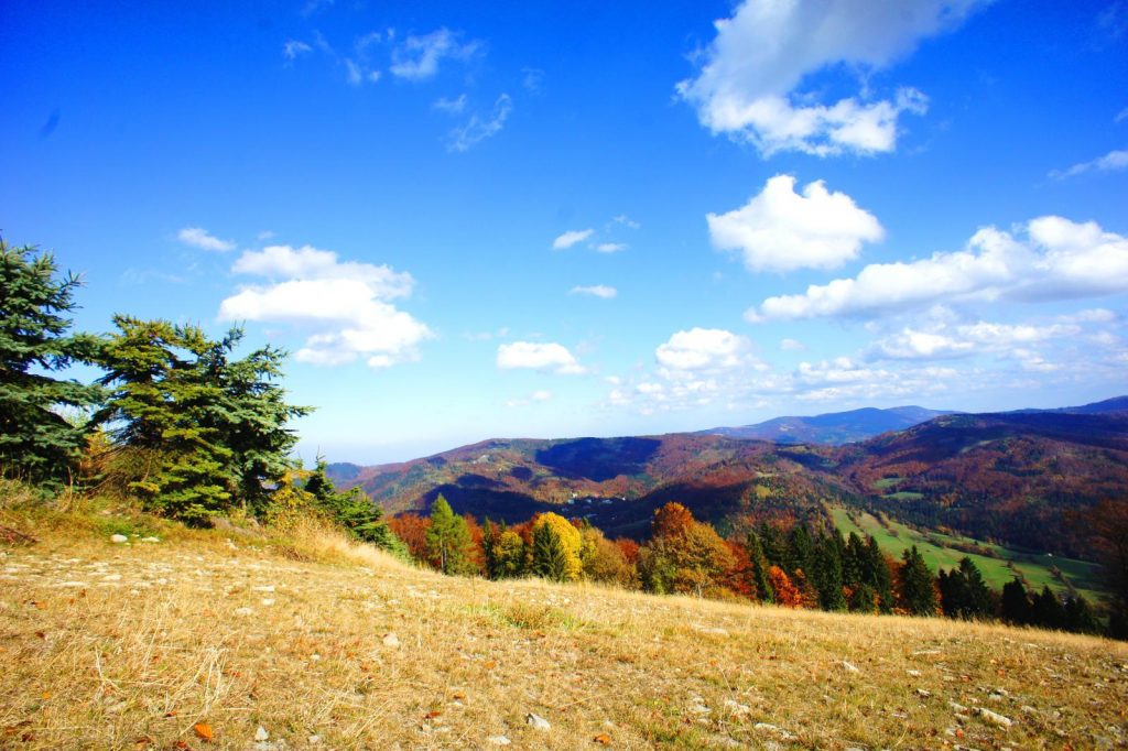 Mazowsze Medi-SPA w Ustroniu