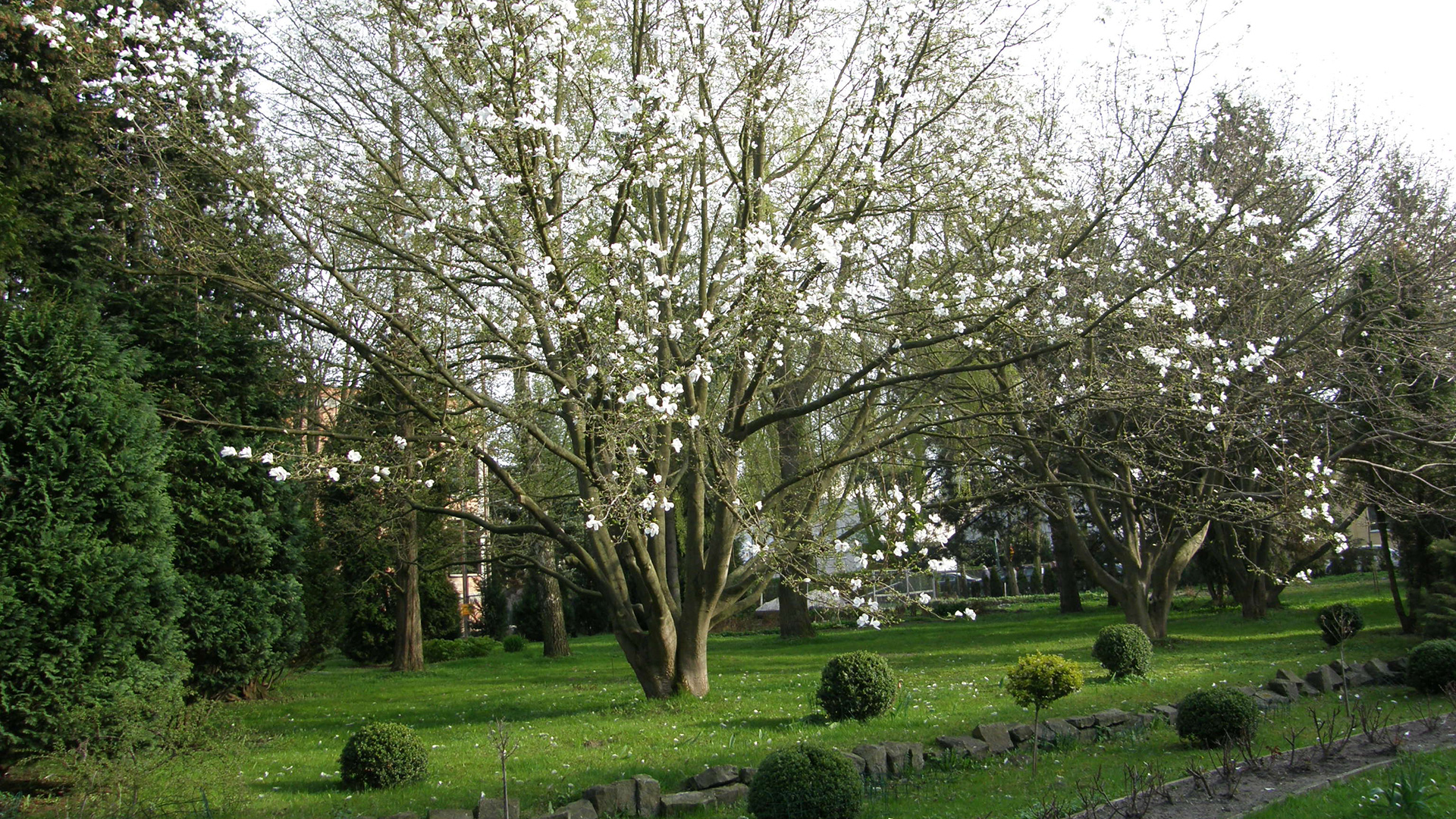 Ośrodek Leczniczo-Wypoczynkowy ,,Kormoran'' w Kołobrzegu
