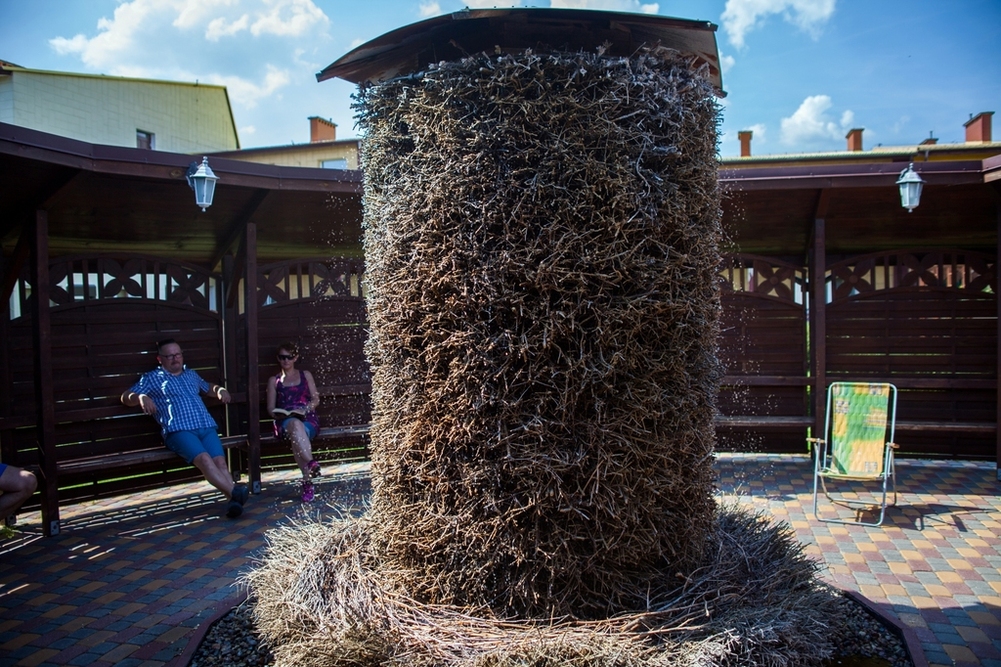 Ośrodek Leczniczo-Rehabilitacyjny PZN Eden w Ciechocinku