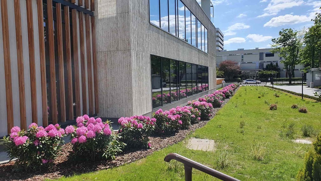 Centrum Zdrowia i Relaksu Verano w Kołobrzegu