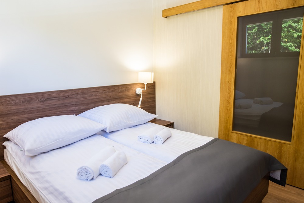 Sanatorium Uzdrowiskowe „Leśnik-Drzewiarz" w Krynicy-Zdrój