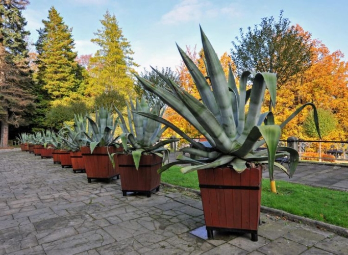 Dom Zdrojowy — Uzdrowisko Świeradów