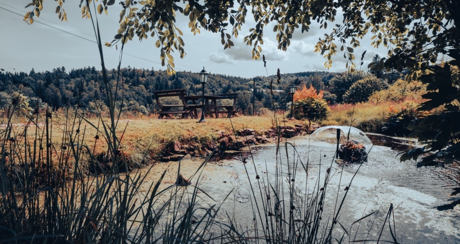 Le Mont Medical SPA w Świeradowie-Zdroju