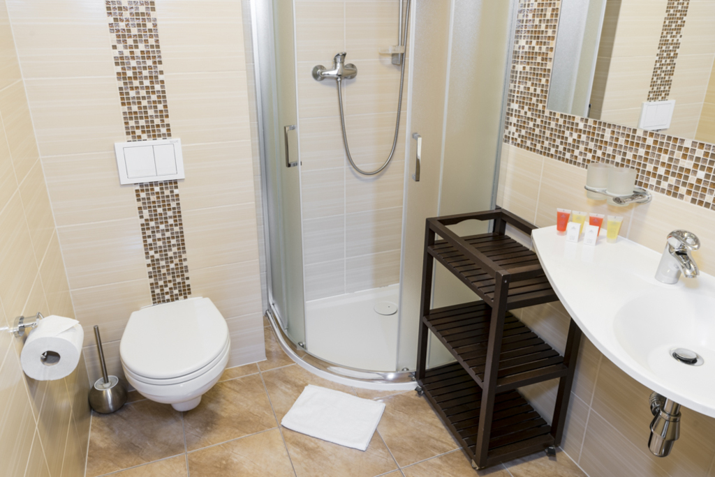 Hotel Zdrojowy Sanus w Świeradowie-Zdroju