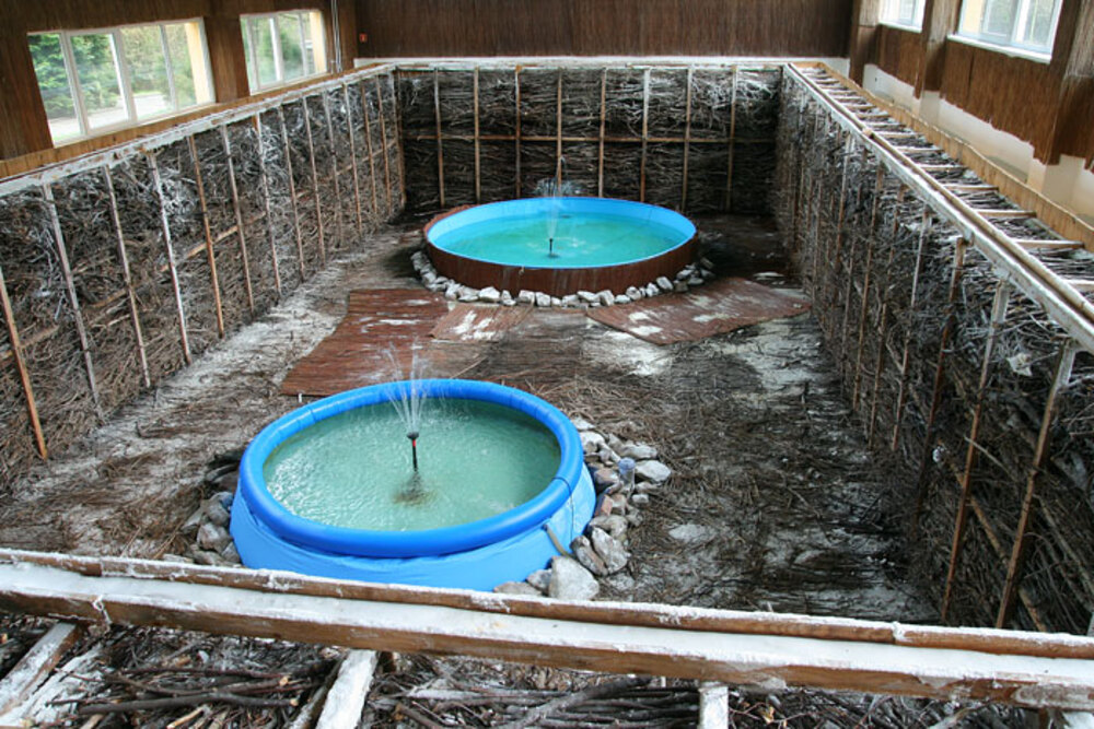 Sanatorium Uzdrowiskowe Leśnik w Sopocie