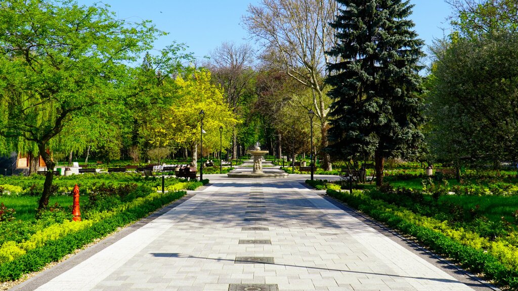 Sanatorium Uzdrowiskowe „Oblęgorek" w Busku-Zdroju