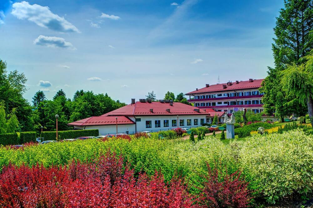 Sanatorium Uzdrowiskowe Dedal w Polańczyku