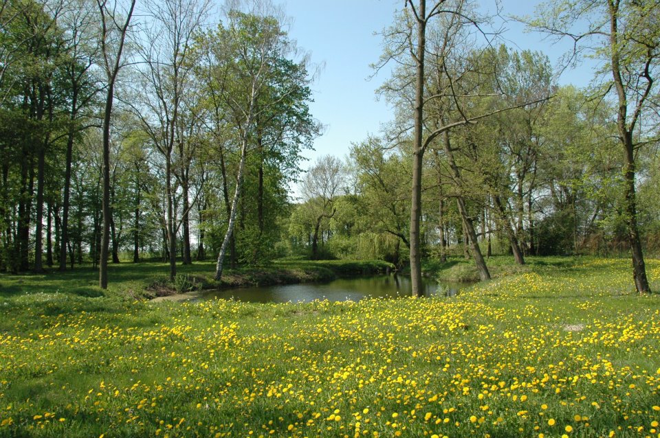 „Dom Pod Aniołem" w Jelitowie