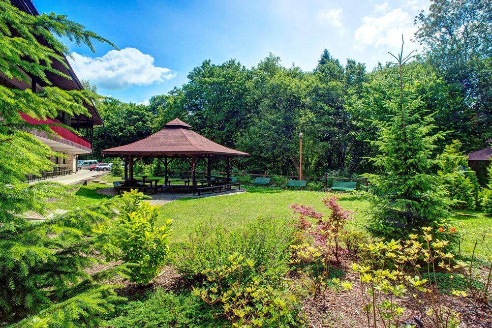 Sanatorium Uzdrowiskowe Dedal w Polańczyku