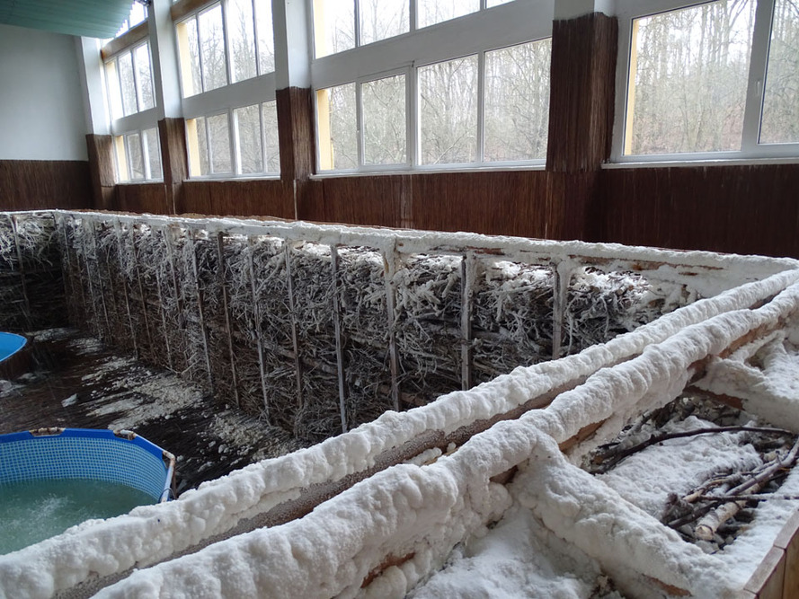 Sanatorium Uzdrowiskowe Leśnik w Sopocie