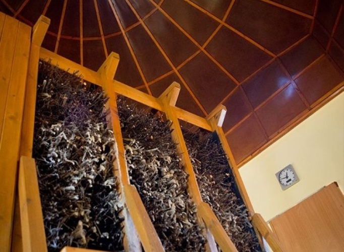 Szpital Uzdrowiskowy „Wacław” w Świeradowie-Zdroju