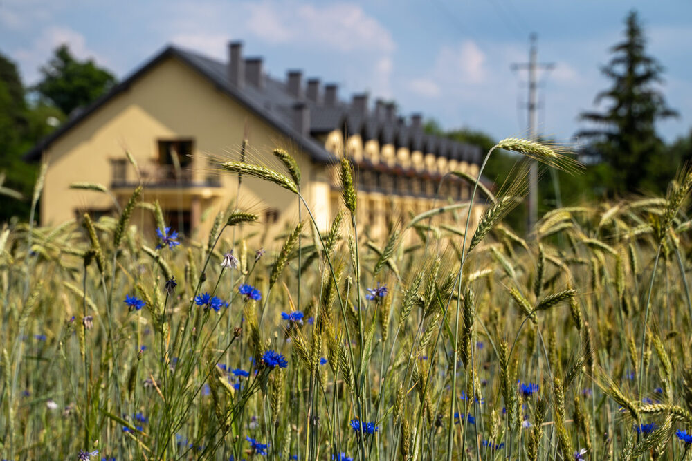 Dom Opieki „Aktywny Senior" w Koźminku