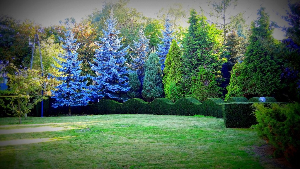 Placówka Całodobowej Opieki „Radosny Dom Seniora" w Lublinku