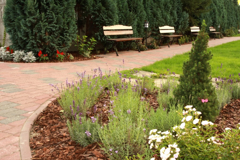 Dom Seniora „Willa Kalina" w Konstancinie-Jeziornej