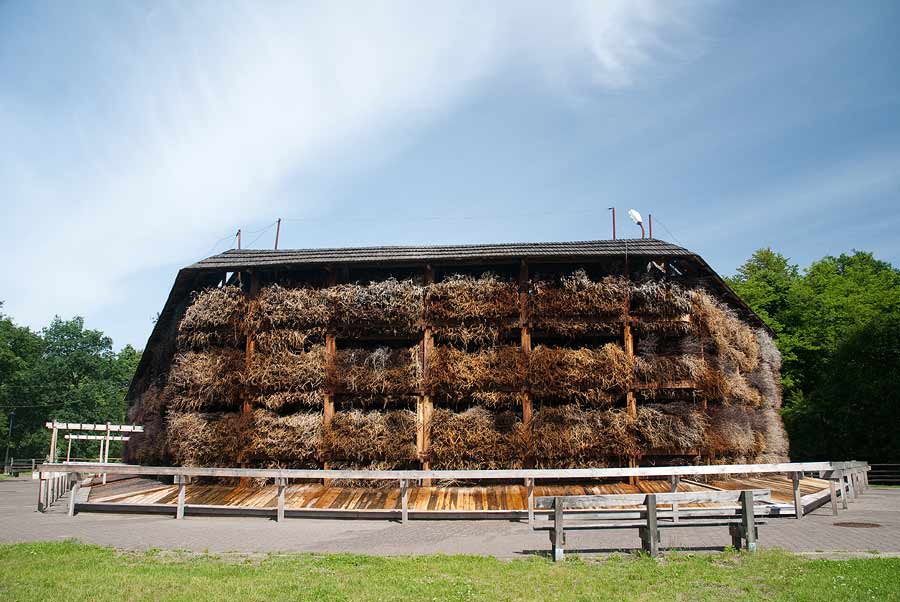 Dom Seniora „Willa Kalina" w Konstancinie-Jeziornej