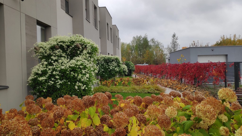 Dom opieki „Willa Harmonia" w Pruszkowie