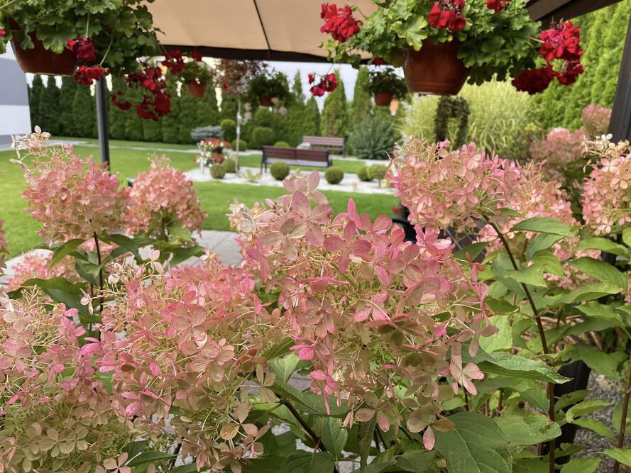 Dom Seniora „Pod Topolami" w Piotrkowie Kujawskim