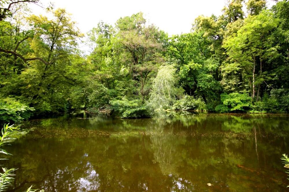 Dom Seniora „Pałac Roztocznik"