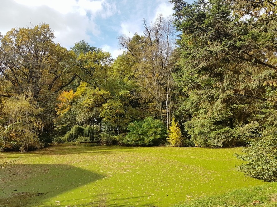 Dom Seniora „Pałac Roztocznik"