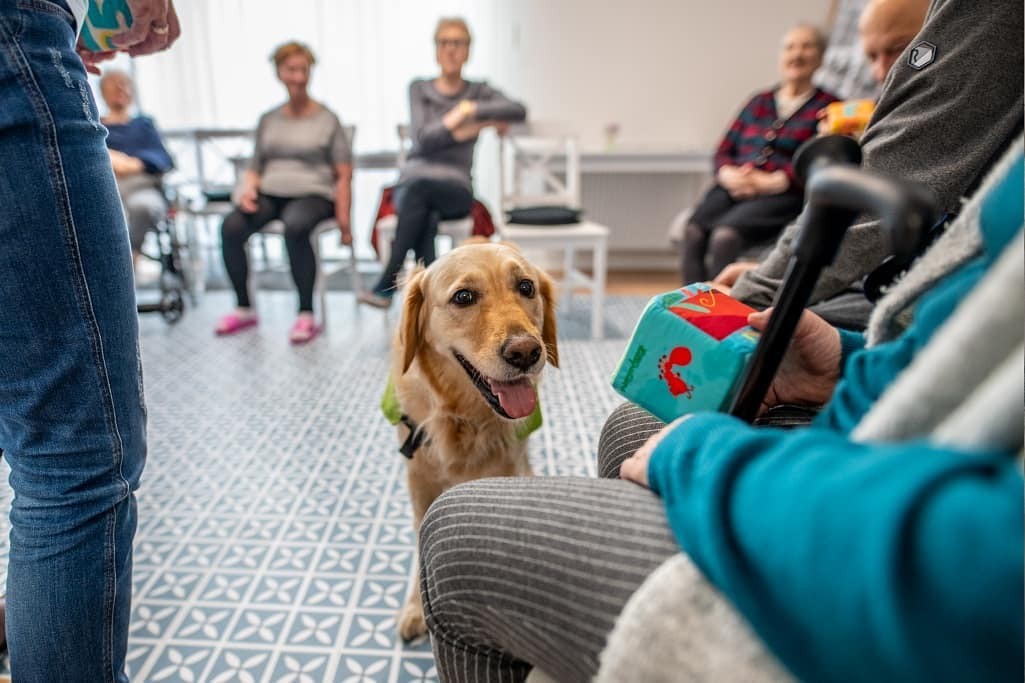 Dom Seniora „Life" w Gdyni