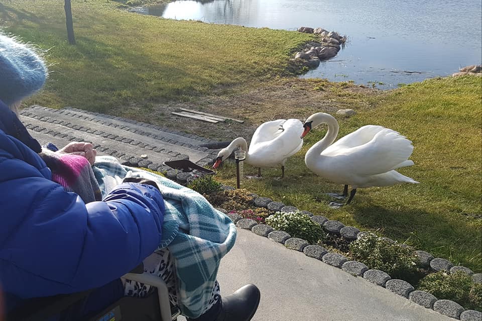 Dom Seniora „Nad Stawem" w Janowie