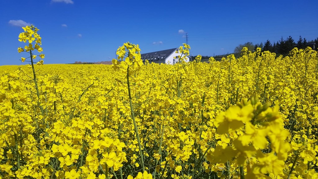 Dom Seniora „Nad Stawem" w Janowie