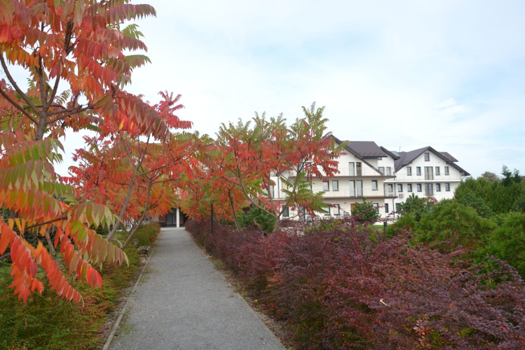 Mieszkańcy Domu Opieki „Jestem" w Grobli mają do dyspozycji rozległy ogród z licznymi ścieżkami spacerowymi 