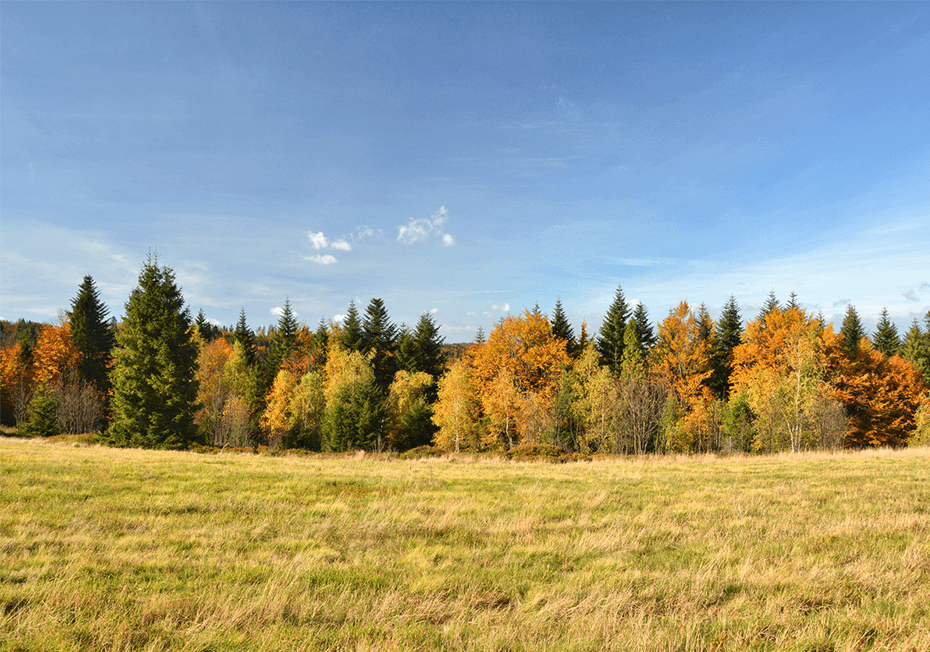 Dom Seniora „Aura" w Wiśle