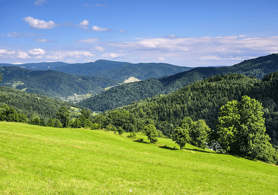 Okolica Domu Seniora „Aura" w Wiśle