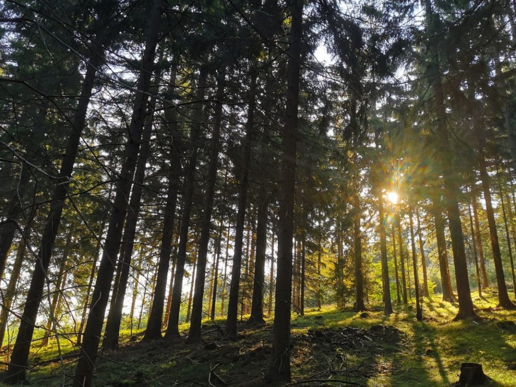 Dom Seniora „Zdrój" w Świeradowie-Zdroju