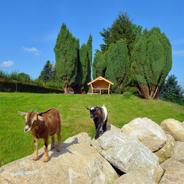 Dom Opieki „Park Seniora”w sosnówce