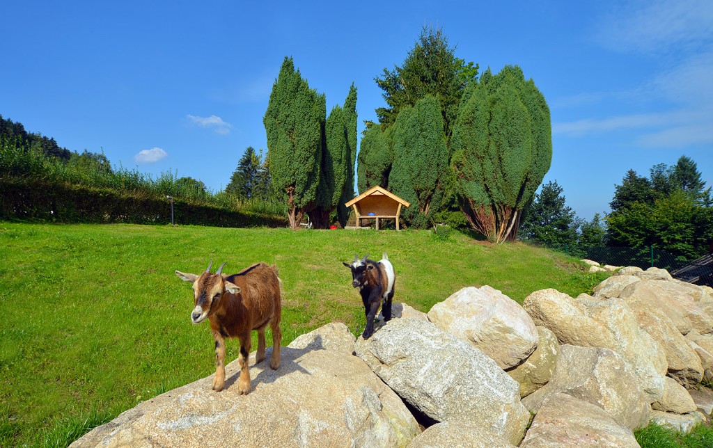 Dom Opieki „Park Seniora”w sosnówce