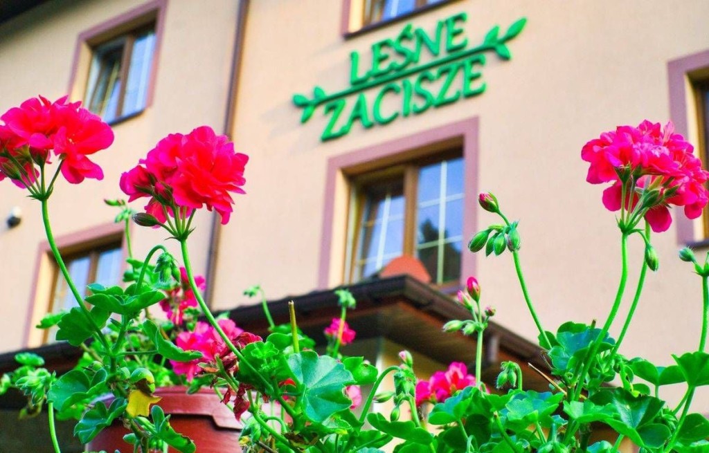 Rodzinny Dom Seniora „Leśne Zacisze” - Sobienie Kiełczewskie