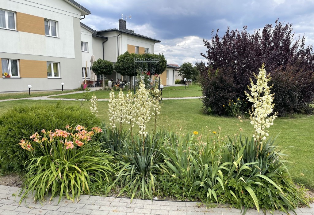 Dom Seniora w Wieluniu