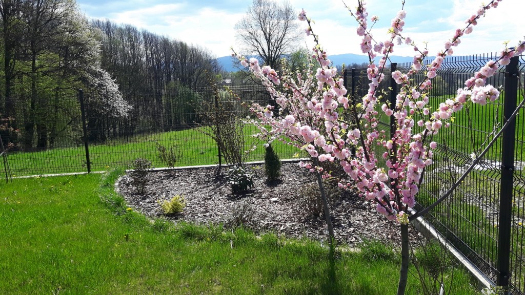 Dom Opieki „Lawendowy Dom” w Bielsku-Białej