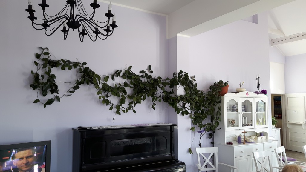 Dom Opieki „Lawendowy Dom” w Bielsku-Białej