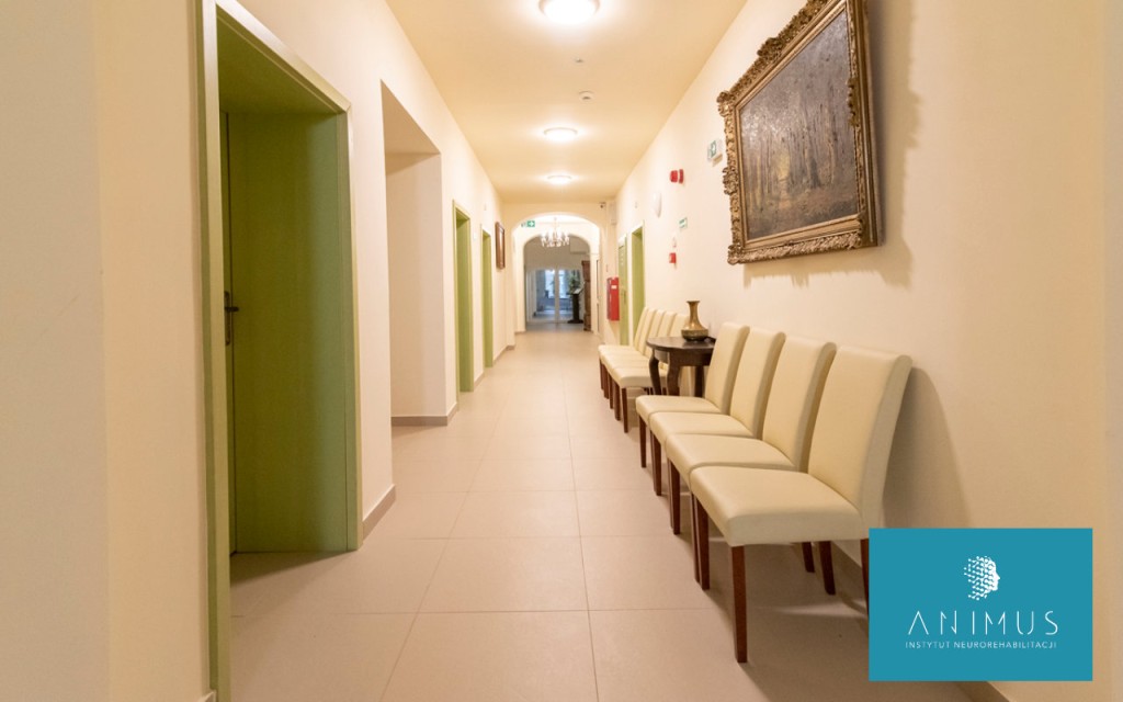 Instytut Neurorehabilitacji „Animus” w Olsztynie
